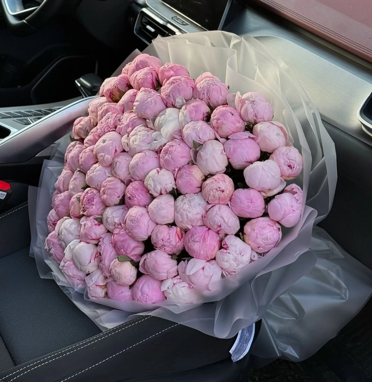 101 Adet Pembe Şakayık