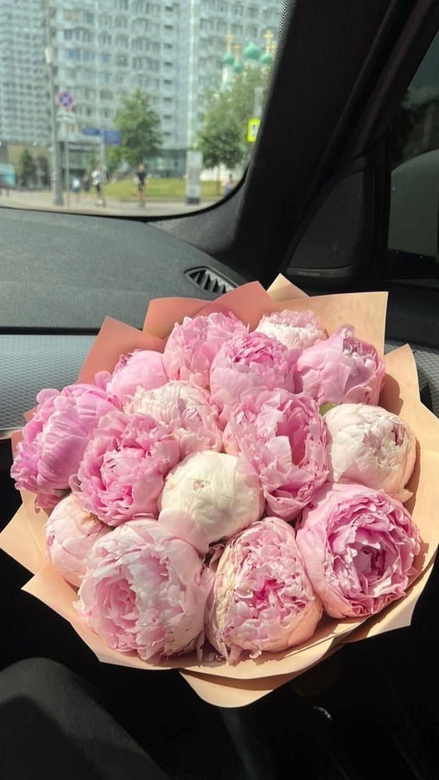 15 Adet Pembe Şakayık