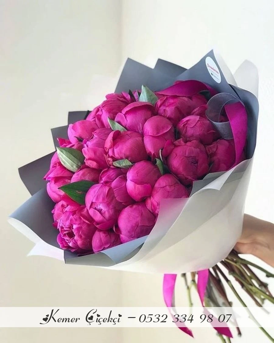 25 Fuchsia Peonies