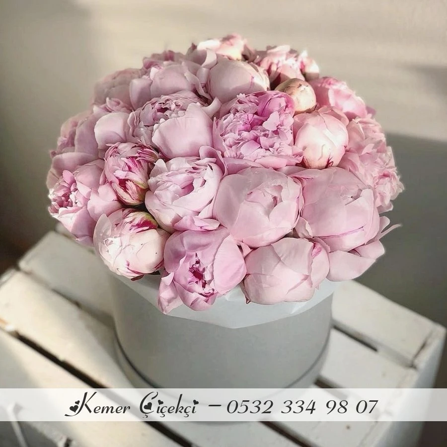 35 Peony Box