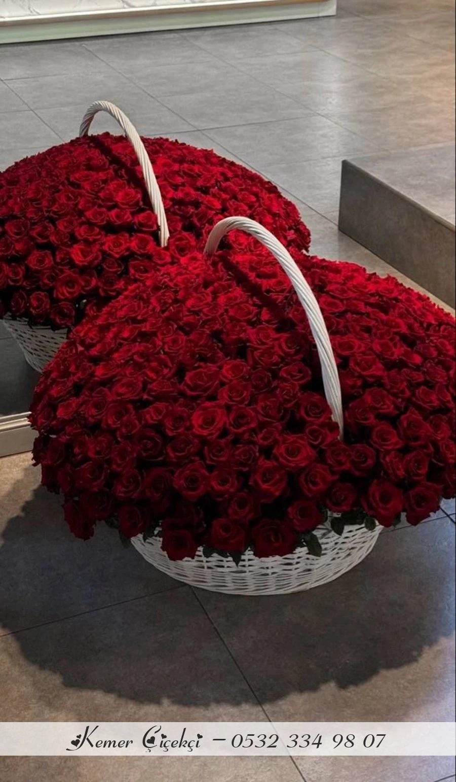 Hasir Sepette 351 Adet Kirmizi Gül