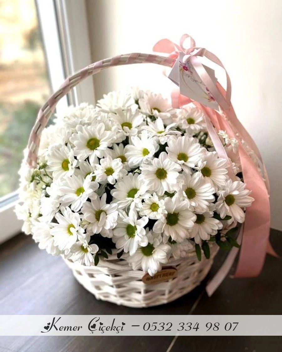 Hrizantem Basket
