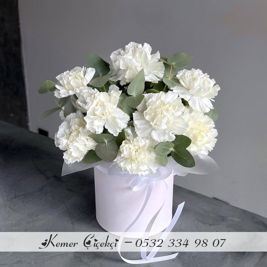 Karanfil Box