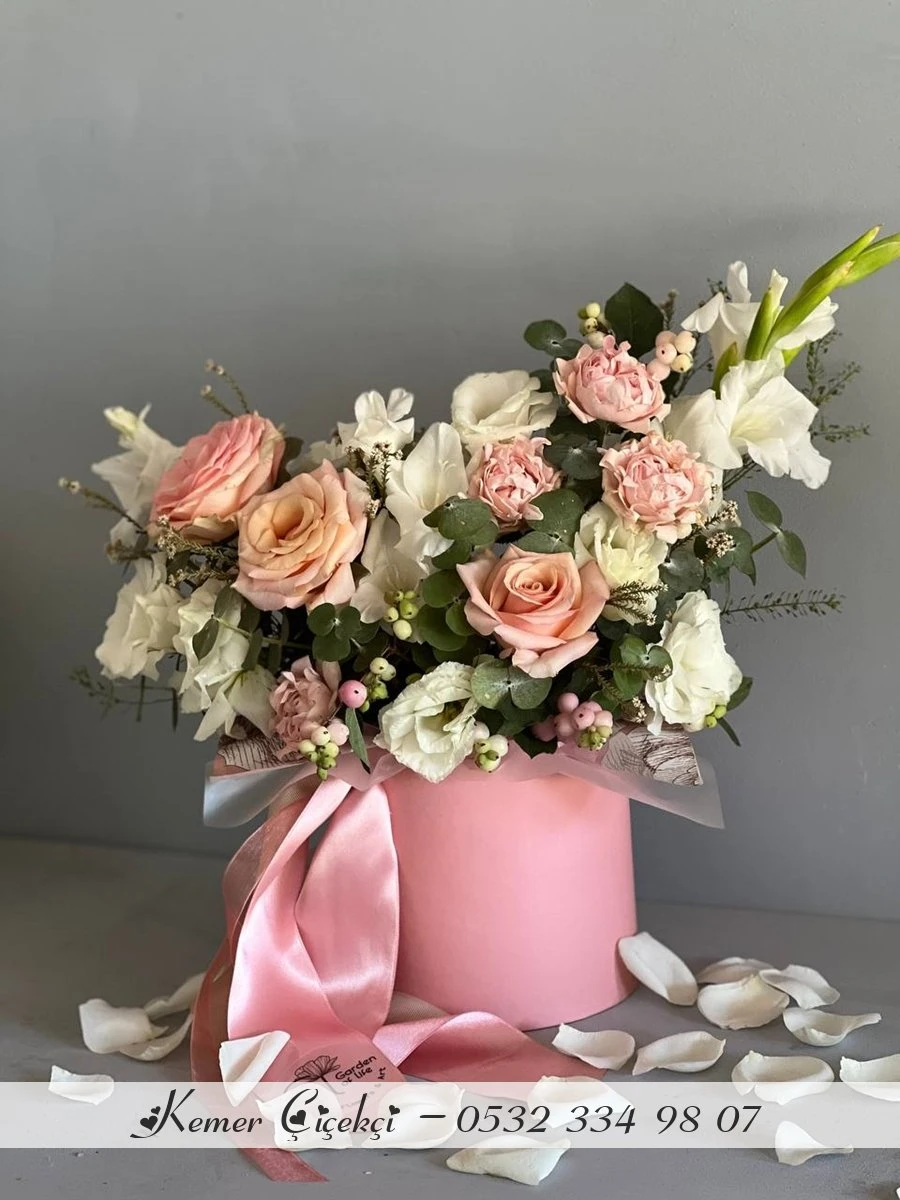 Karisik Somon Pembe Kutu