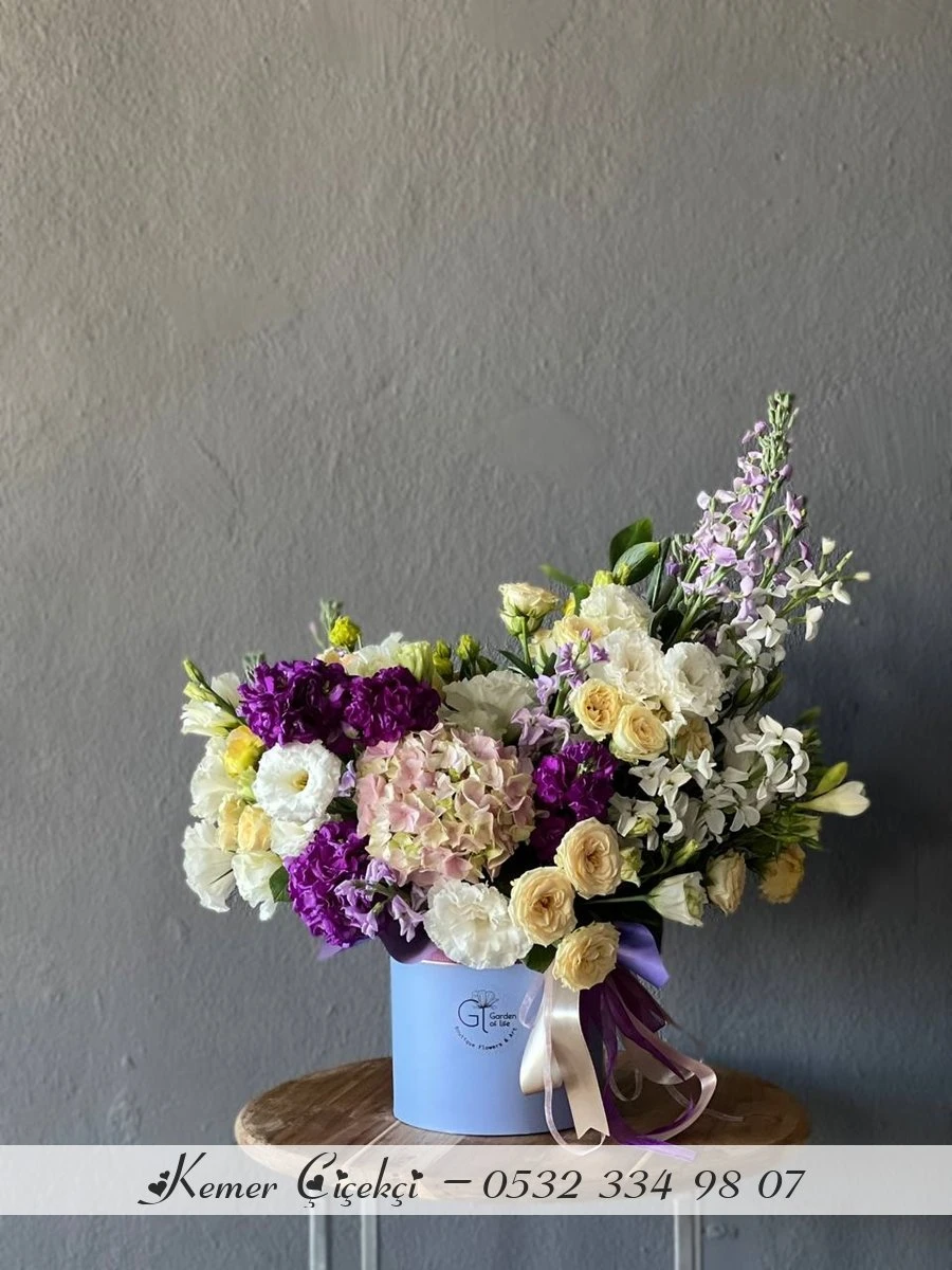 Étoile Violette
