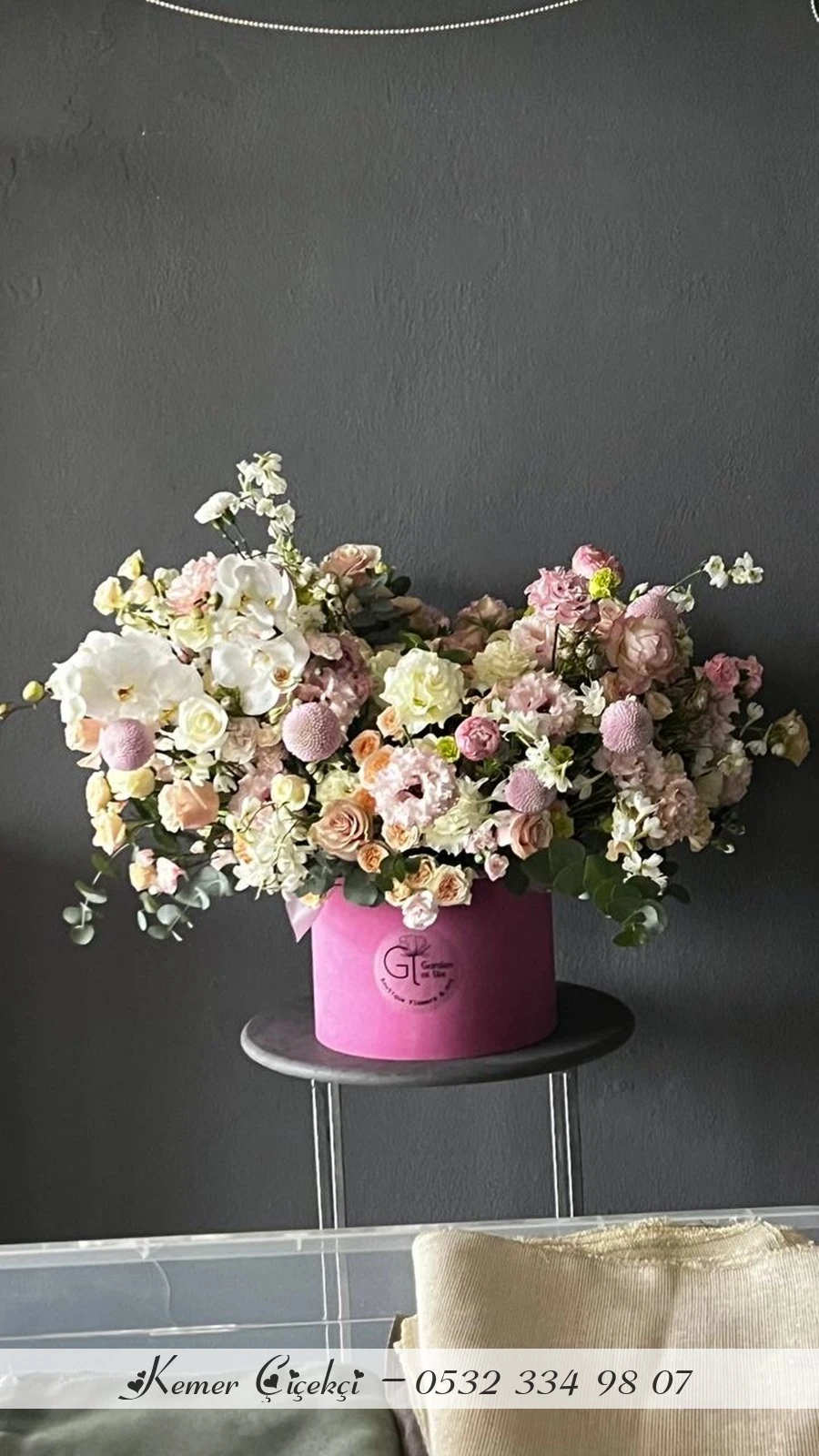 Éclosion Rose