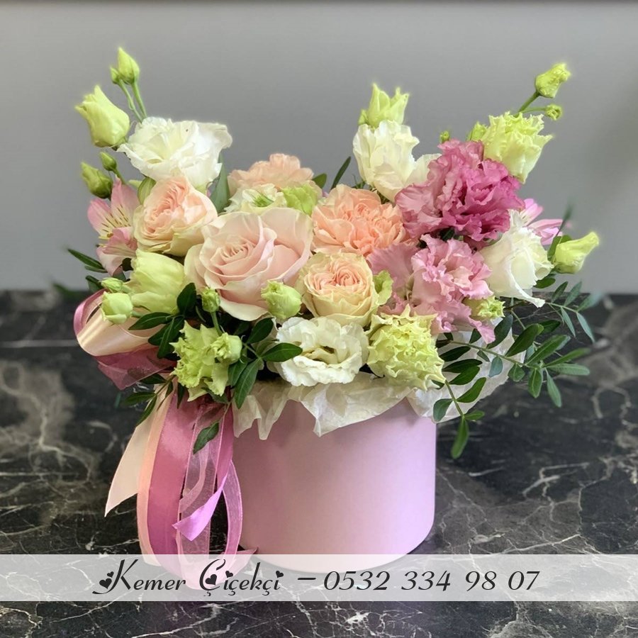 Somon Pembe Kutu