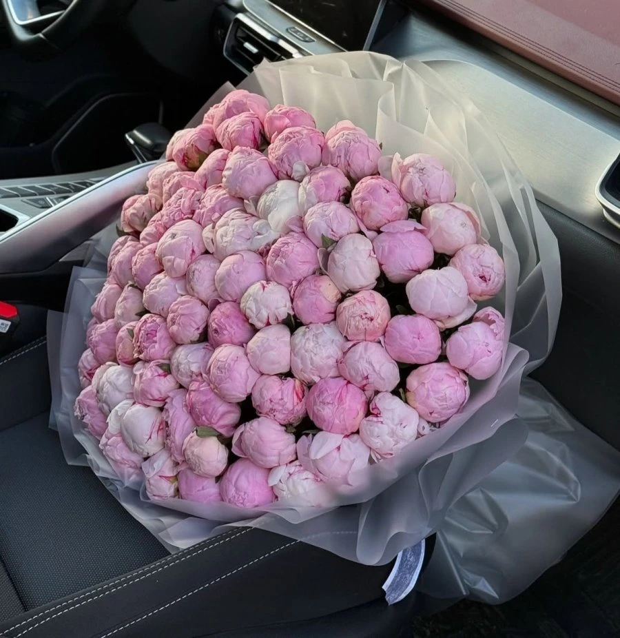 101 Adet Pembe Şakayık