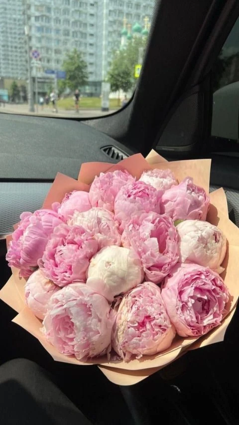 15 Adet Pembe Şakayık