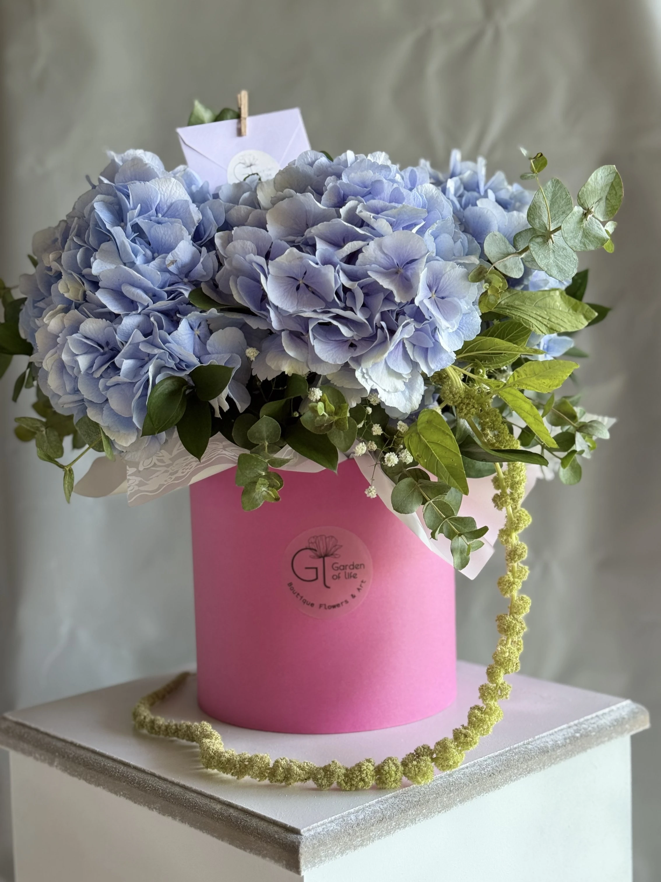 5 Adet Büyük Ortanca Box