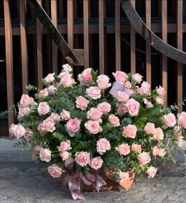 Hasir Sepette 101 Adet Pembe Gül