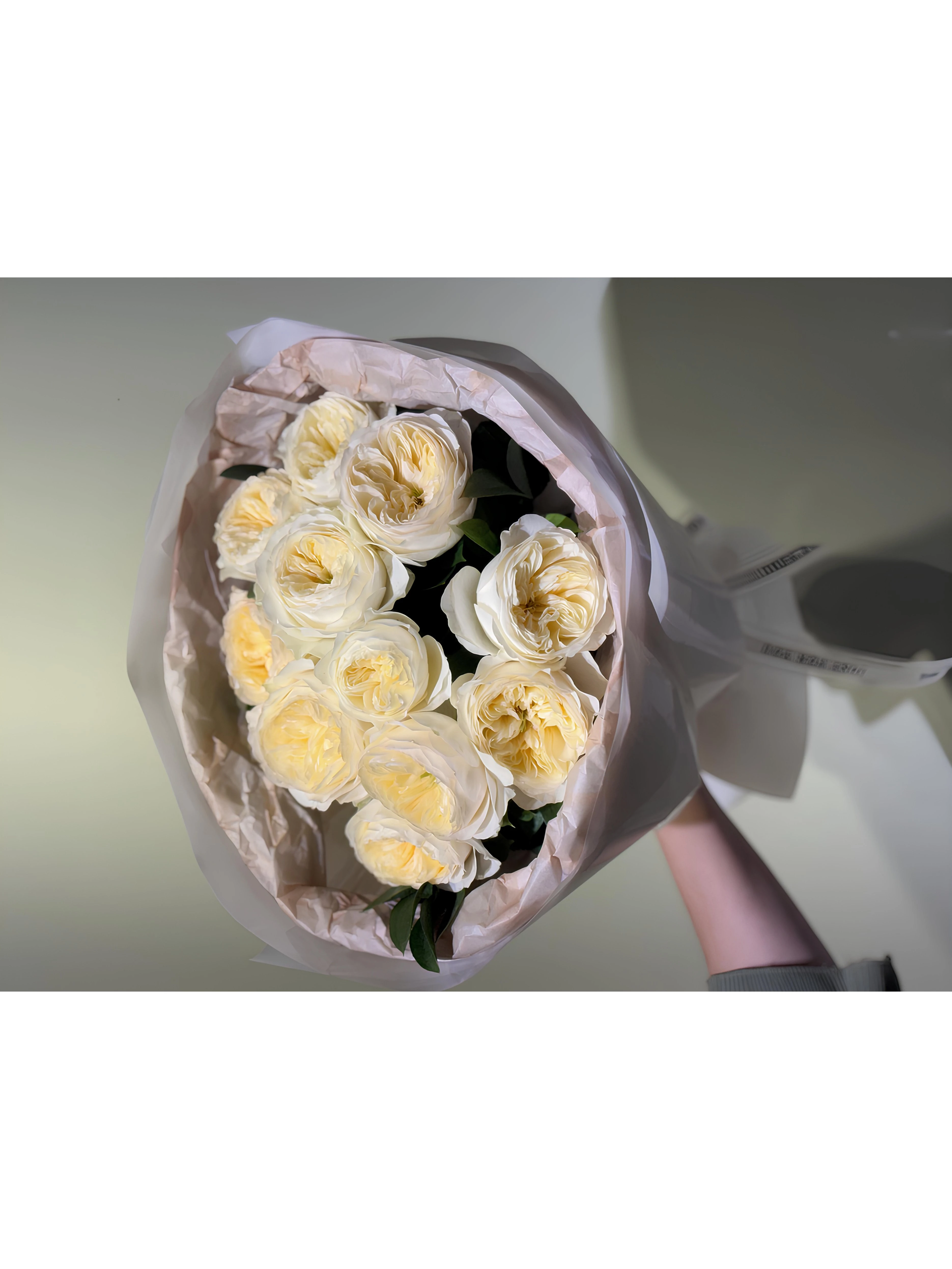 White Bloom