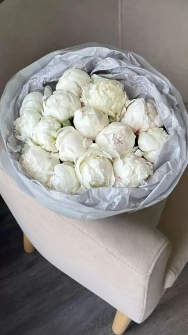 White Piony 15