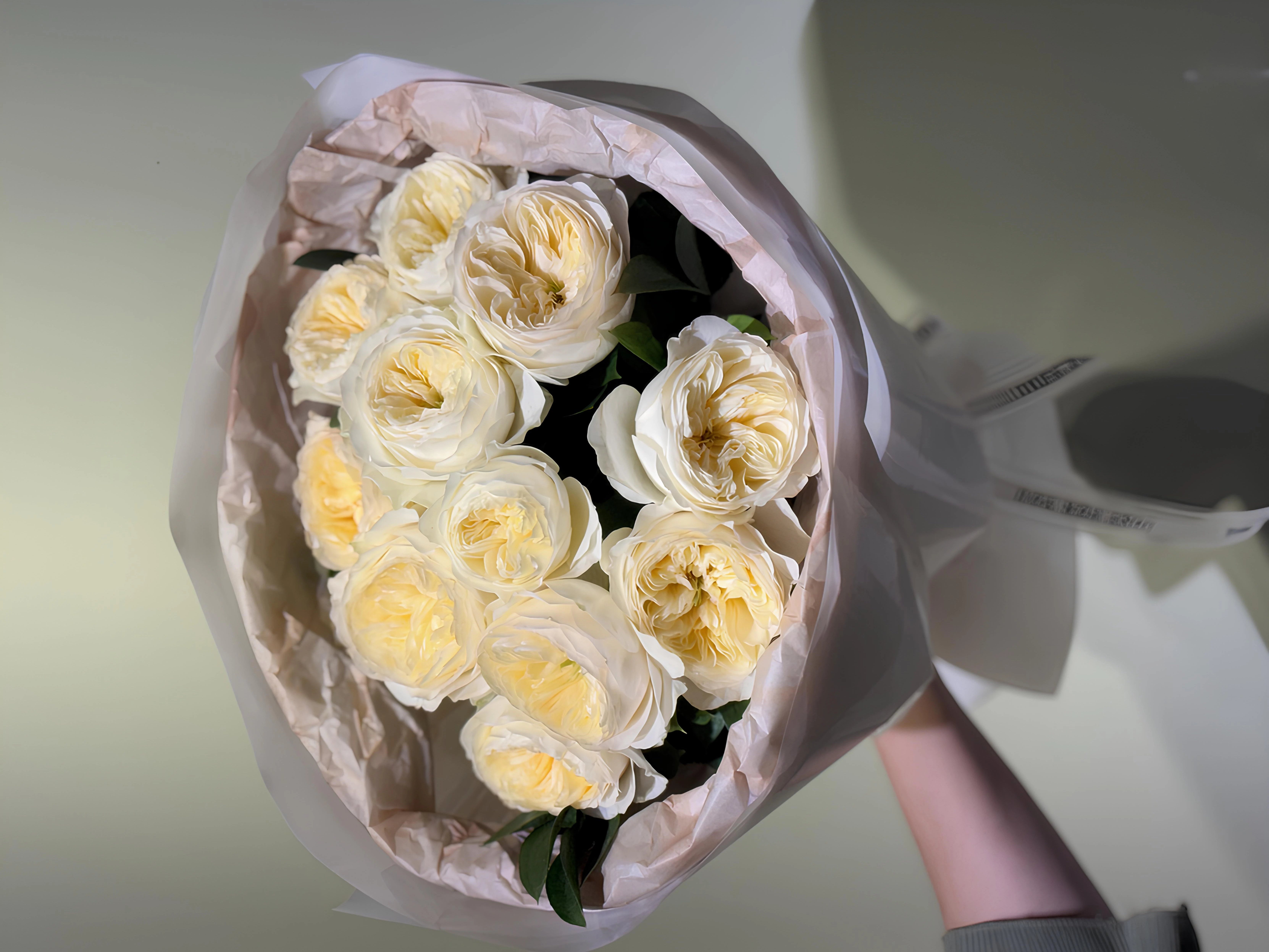 White Bloom